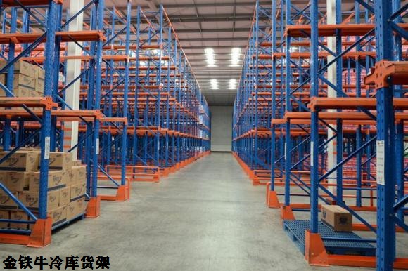冷庫(kù)貨架 冷庫(kù)貨架
